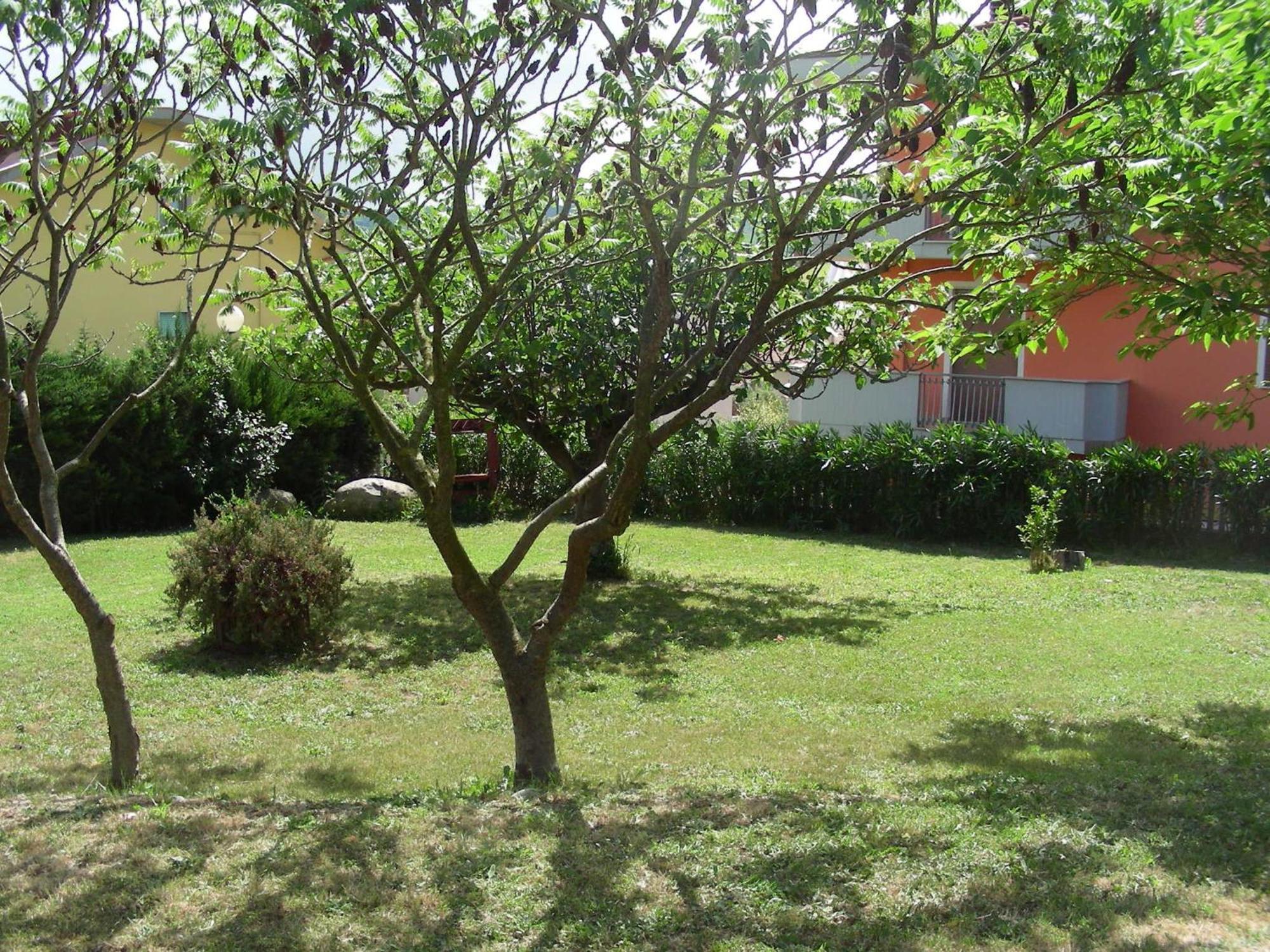 Pier Delle Vigne B&B Pineto Exteriör bild