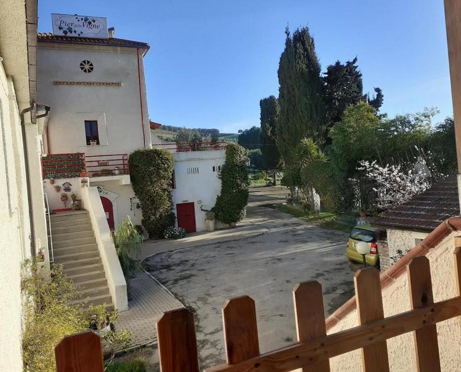 Pier Delle Vigne B&B Pineto Exteriör bild