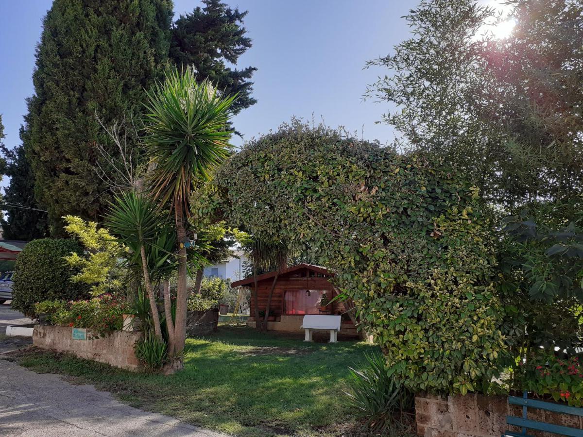 Pier Delle Vigne B&B Pineto Exteriör bild