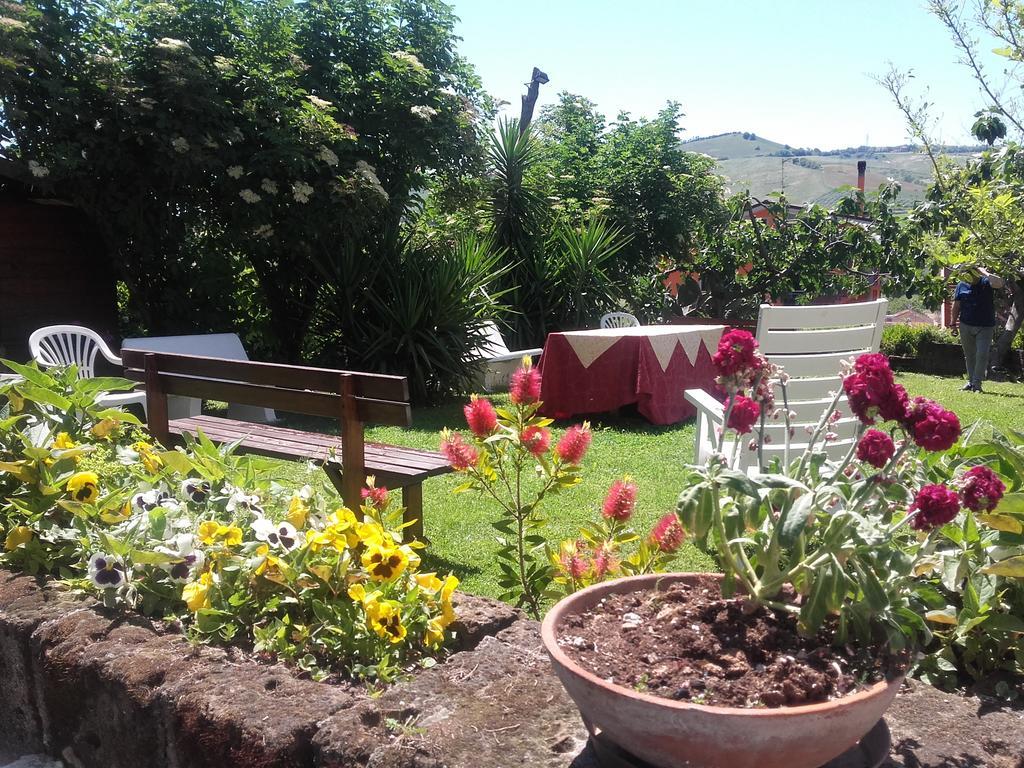 Pier Delle Vigne B&B Pineto Exteriör bild