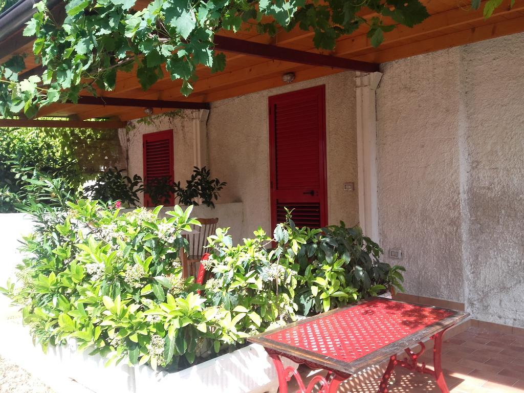 Pier Delle Vigne B&B Pineto Exteriör bild
