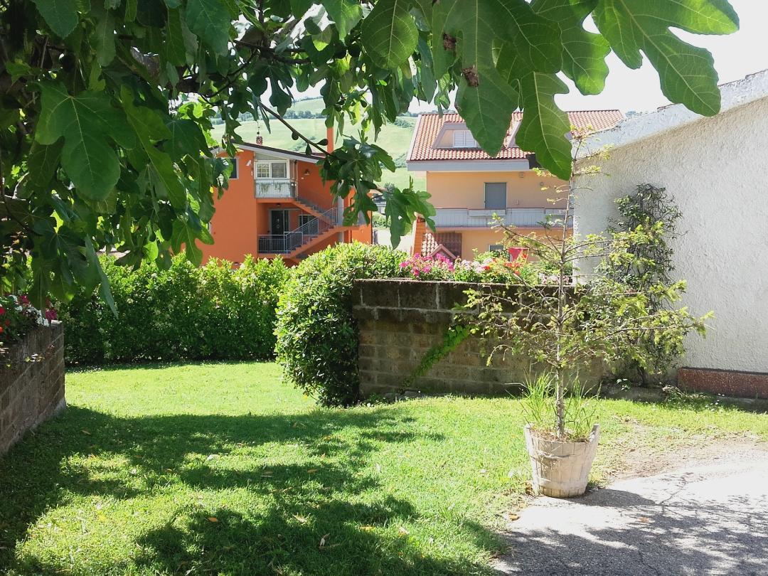Pier Delle Vigne B&B Pineto Exteriör bild