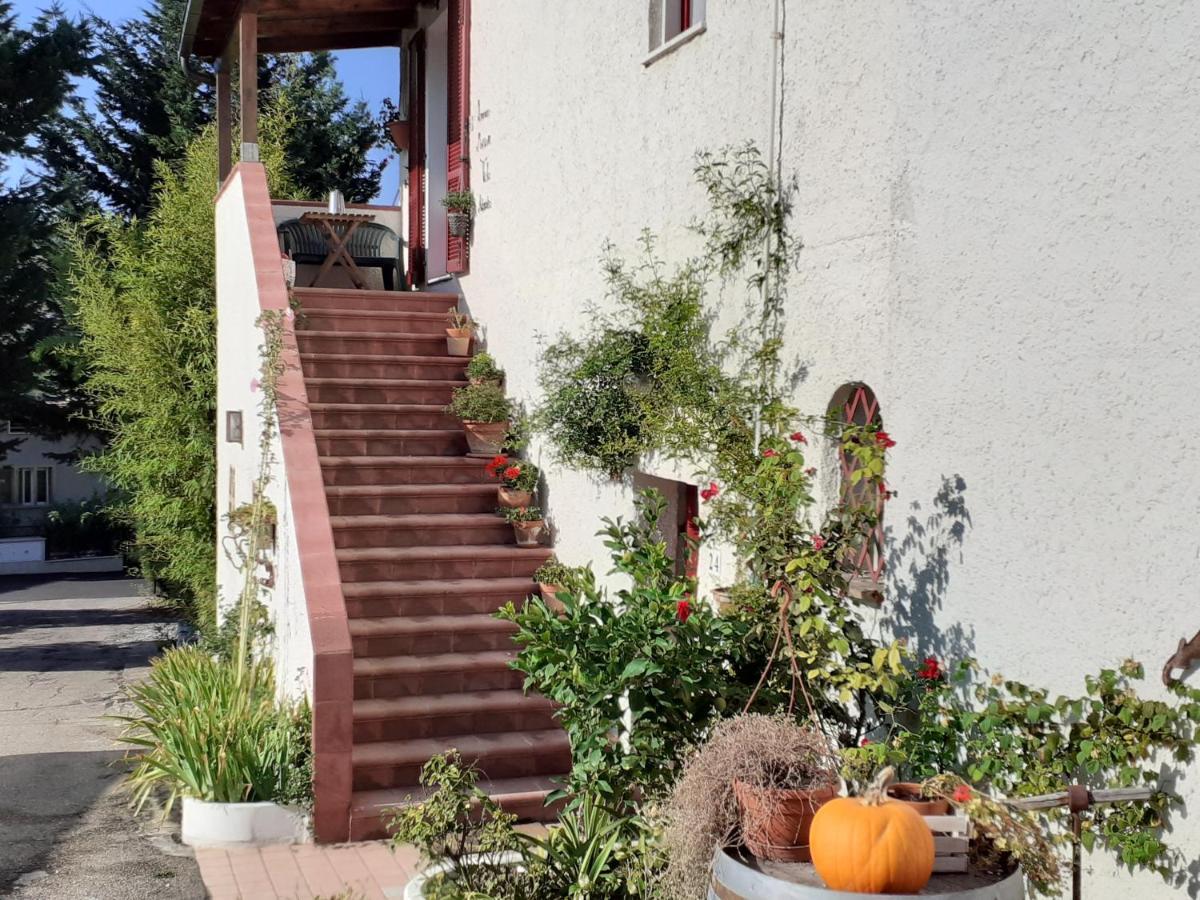 Pier Delle Vigne B&B Pineto Exteriör bild