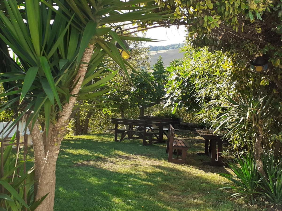Pier Delle Vigne B&B Pineto Exteriör bild