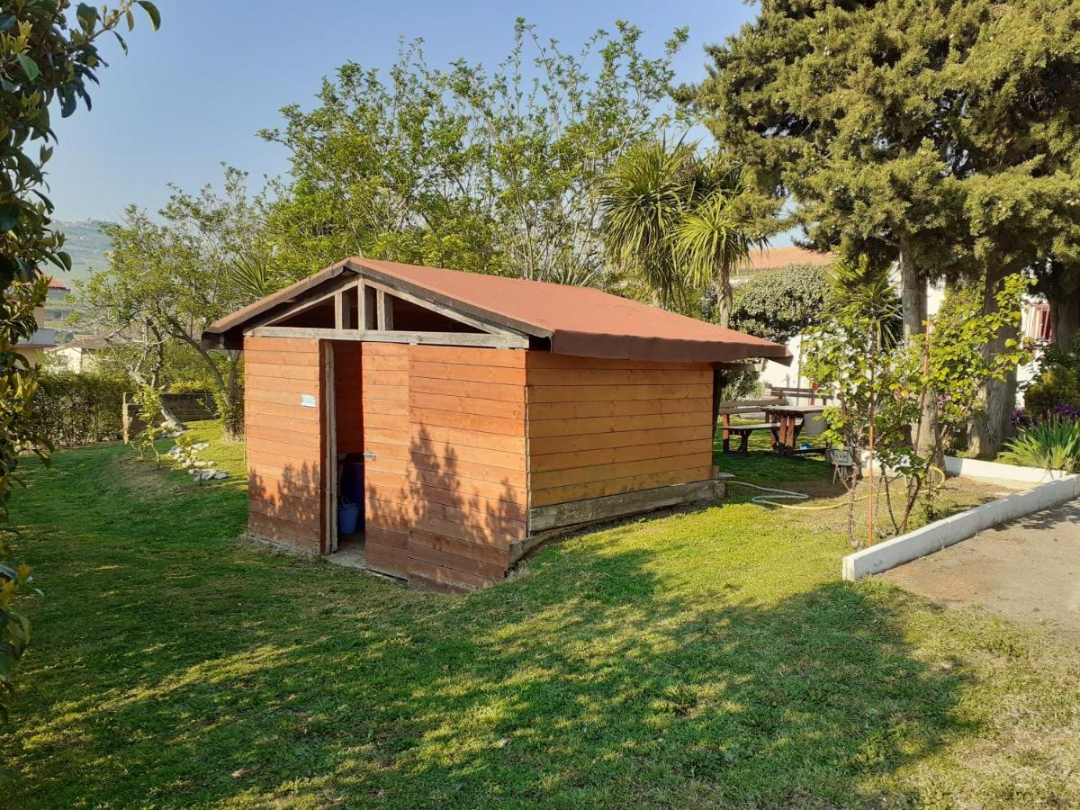 Pier Delle Vigne B&B Pineto Exteriör bild