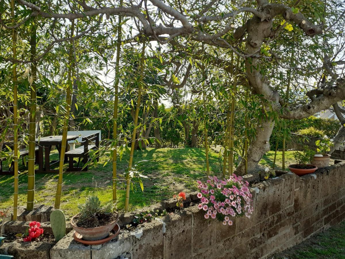 Pier Delle Vigne B&B Pineto Exteriör bild