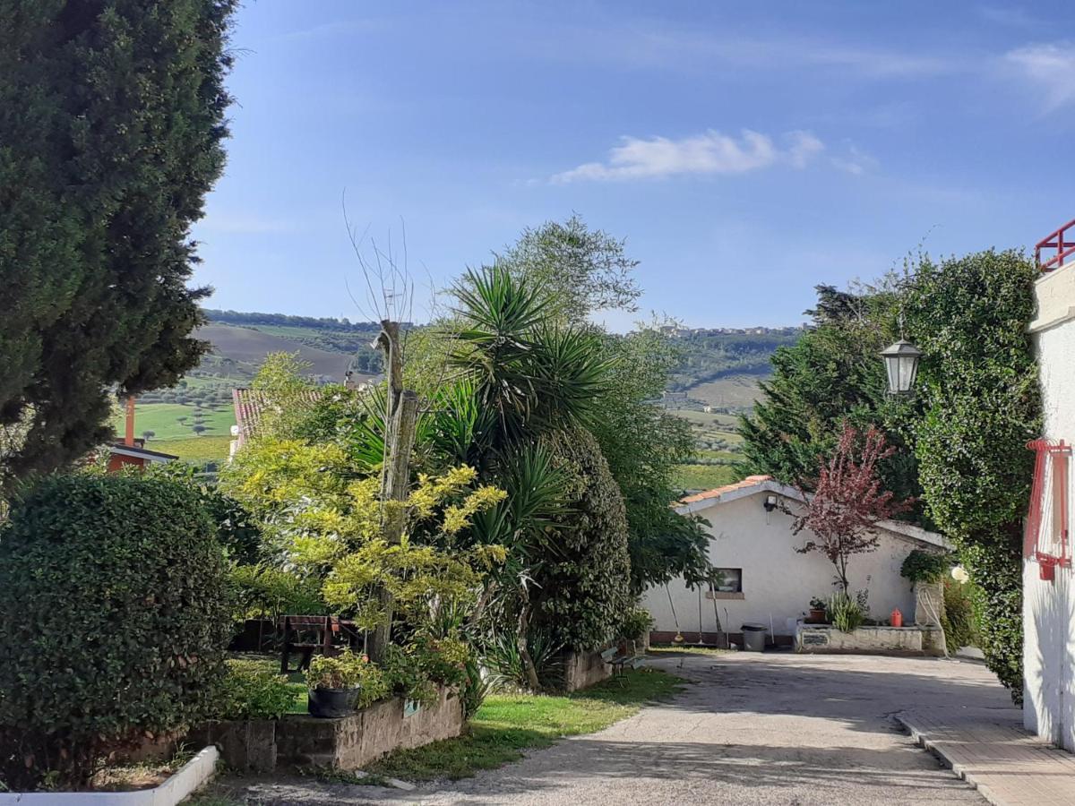 Pier Delle Vigne B&B Pineto Exteriör bild