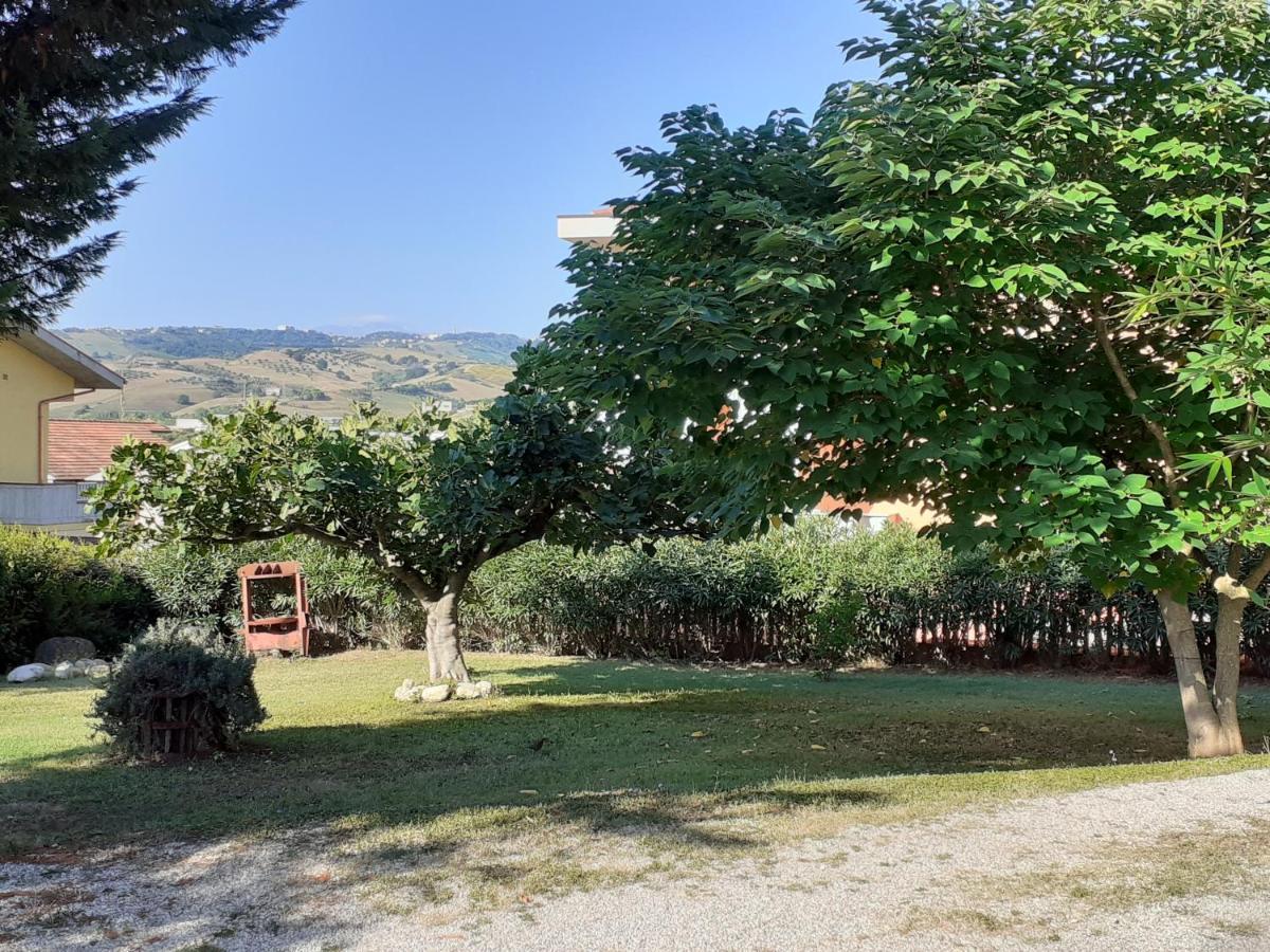 Pier Delle Vigne B&B Pineto Exteriör bild