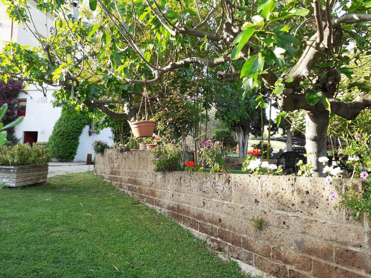 Pier Delle Vigne B&B Pineto Exteriör bild