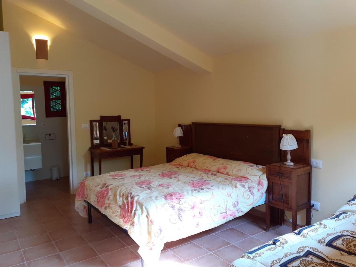 Pier Delle Vigne B&B Pineto Exteriör bild