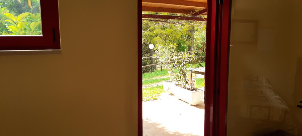 Pier Delle Vigne B&B Pineto Exteriör bild