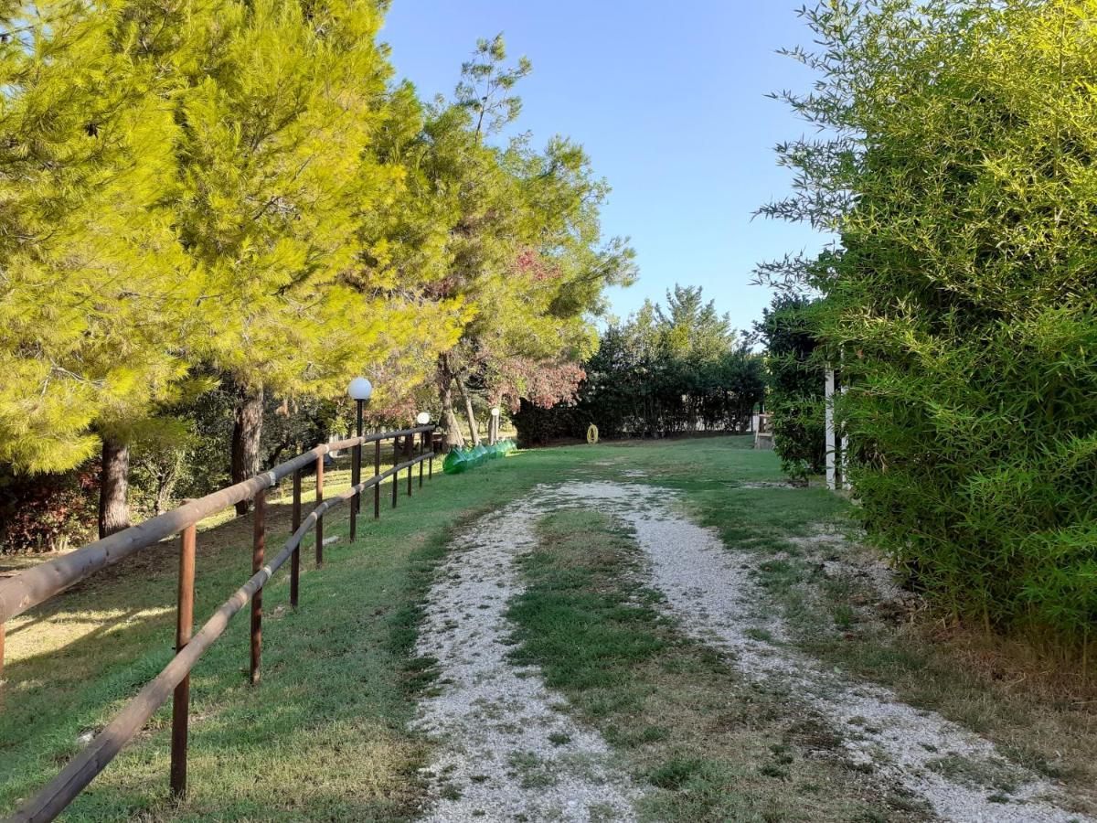 Pier Delle Vigne B&B Pineto Exteriör bild