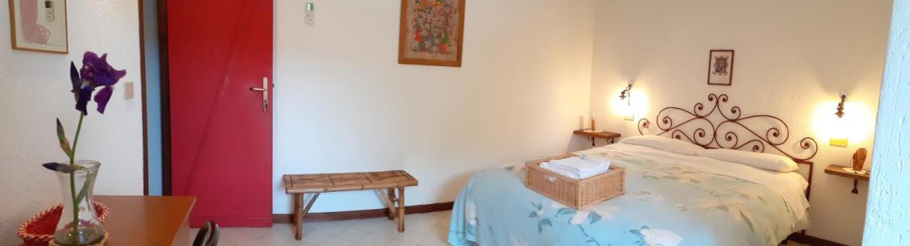 Pier Delle Vigne B&B Pineto Exteriör bild