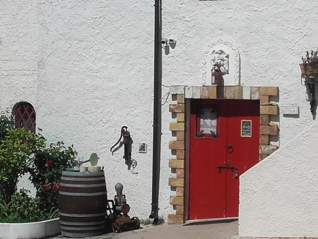 Pier Delle Vigne B&B Pineto Exteriör bild