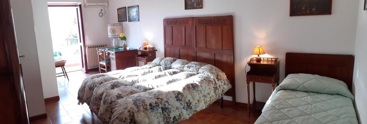 Pier Delle Vigne B&B Pineto Exteriör bild